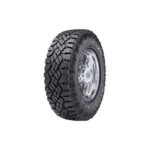 Pneu Goodyear WRL DURATRAC 255/65QR19TLXL 114 Q LR pour SUV/4x4