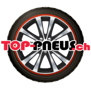 Pneu Tracmax X Privilo AT-01