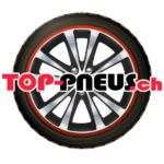 Pneu Semperit VAN-ALLSEASON 195/60R16CTL 99 H pour Utilitaire