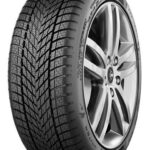 Pneu Dunlop WINTER 205/65HR17TLXL 100 H pour Voiture de tourisme