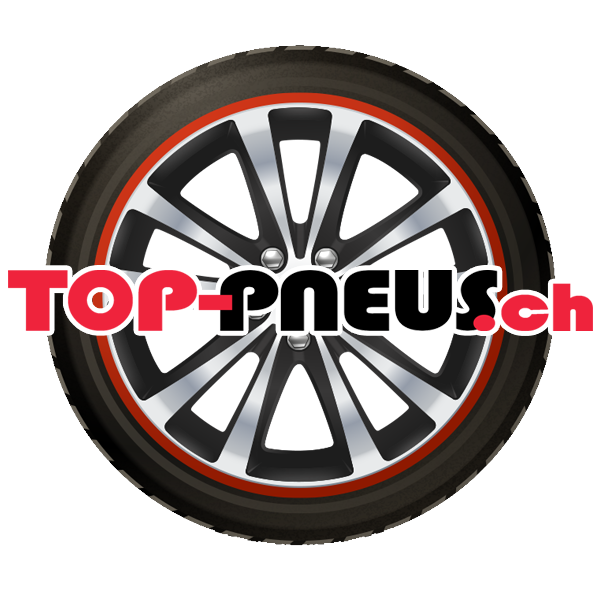 Pneu Vredestein WINTRAC PRO+ 235/50WR20TLXL 104 W pour Voiture de tourisme