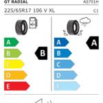 Étiquette UE du pneu GT Radial CLIMATEACTIVE 225/65 R17 106V XL