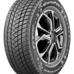 Pneu GT Radial WINTERPRO2 EVO