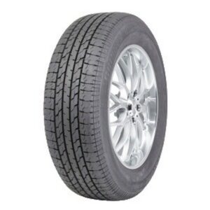 Pneu Bridgestone D33